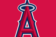 日本の大谷ファンが覚えたエンゼルスの選手