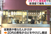 【悲報】 ゴキブリに殺虫剤かけたら居酒屋が爆発　