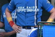 プロ野球OB「大型連敗という苦境を打破するには監督、コーチが知恵を働かせるのも必要。ベンチワークも試される」
