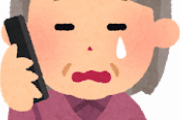 【悲報】両親から「お姉ちゃんが怒って暴れてるの」って電話かかってきたｗ