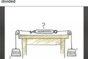 「このバネばかりの両サイドに100Nの重りをつけて引っ張ると…目盛りはいくつを指すか？」多くの人を混乱させた問題