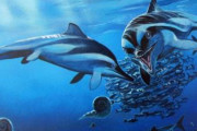 【古生物】インドで初めて魚竜化石が発掘される、1億5200万年前のものか