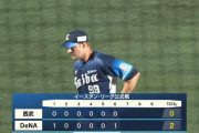 【朗報】西武ダーモディなかなか良さそう