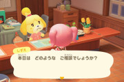 【悲報】買ってはみたものの、どうぶつの森の面白さが分からない