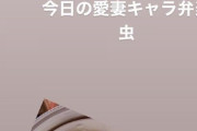 【中国の反応】中国人「日本の愛妻弁当が可愛い！」