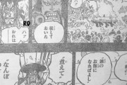 【悲報】ワンピースのカイドウさん、助けてくれたマネマネババアを殺してしまう