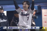 ヤクルト、ノーヒットで2点ｗｗｗｗｗｗ