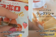 外国人「見てくれ、日本のお菓子はパッケージ画像と全く同じだ！」