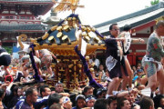 海外「神輿をぶつけひっぱいあう！」三社祭りが素敵すぎる