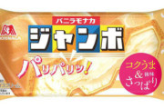 【悲報】「チョコモナカジャンボ」よりバニラの方が美味いという事実