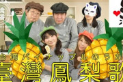 【日台友好】日本人がつくった「台湾パイナップルのうた」に台湾人感動！＝「超かわいい！」「日本最高！」