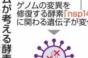 新型コロナさん、やらかす。変異に失敗して自滅…ワクチン無関係www #速報 |  なんで日本だけ？