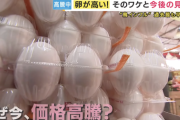 【悲報】卵の価格、また高騰しそう