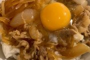 【画像あり】吉野家の「牛鍋丼の具」っていう冷凍のやつ作ってみたｗｗ