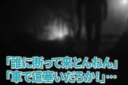 ユーチューバー「400万円で山を買った！開拓していくぞ！」 → それから数ヵ月音沙汰なし → 今現在、ヤバイことになっていた