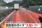 【トマト】「40m～50mは散らばってた」　約13トン“大量トマト”が高速道路埋め尽くし真っ赤に　東北自動車道が一次通行止め