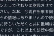 【悲報】バチャ豚、炎上中のVTuberの代わりに謝罪するｗｗｗｗ