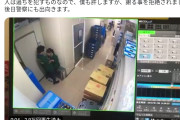 【動画】セブンイレブン店員がJK店員に猥褻行為をする映像が流出