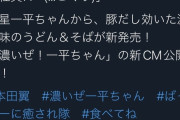 【画像】本田翼さん意味深広告ｗｗ