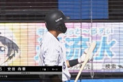 安田がオープン戦入ってまだ1安打(打率.083)重症っぽいけど大丈夫かな…