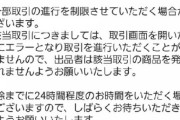 はじめてメルカリ使ったのだが、購入してから取引停止された
