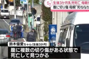 「娘を殺した。私は死ねなかった」生後3ヶ月の娘を刺殺し逮捕された母親は有名車椅子インフルエンサーだった模様