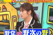 【ド正論】NMB48渋谷凪咲「野党って”野次”の野じゃないんですか？」「野次を飛ばすことに命かけてるというか、全うしてる？それが仕事みたいな 」ｗｗｗｗｗｗ