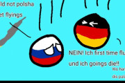 【ロシア】飛行機事故【ポーランドボール】