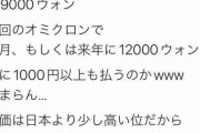 韓国、卵1パック1000円  [1/4]