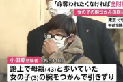 【悲報】3歳女児に「全財産をよこせ」と脅迫したチー牛の動画、400万回再生されてしまう
