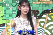 堀未央奈 ｢ウォレットチェーンは嫌｣【元乃木坂46】