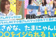 こさかなさん、ぱるの次はたまにゃんにイジられる？【KO ZH EN ES RU SUB】#한국어 자막