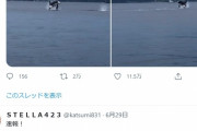 【異変】東京湾に「シャチ」が出現！「30年で初めて見た」