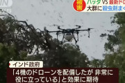 「60％を退治した」…インドでバッタの大群VSドローン！