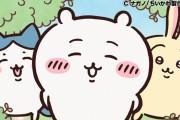 男性が選ぶ『ちいかわ』好きなキャラランキング！第2位はハチワレ、第1位は？