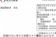 【悲報】厚労省「送ったマスクですが、汚れていたら妊婦は付けないでください」