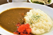 島耕作「田舎の母親が作ったカレーよりプロが作ったカレーの方が絶対旨いに決まってるだろ」