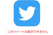 ドイツ・フランス「トランプのアカウントを凍結したTwitter社は表現の自由を守れ！」