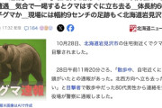 【コラ！】住宅街を散歩していた80代男性、2度もヒグマに遭遇するも気合で一喝し追い払う