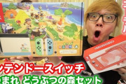ヒカキン「どうぶつの森」の動画を公開したら「買えない人のこと考えて」とか言われてカワイソウｗ