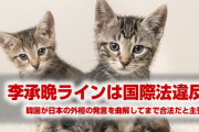 【拡散】韓国が竹島の占拠は合法だと主張している理由がやばすぎた！　とんでもない解釈で国際法違反を合法化していた！（2）