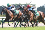 【鳴尾記念】ヨーホーレイクがV！２年４か月半ぶり復活の重賞２勝目