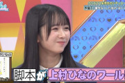 【日向坂46】なだぎ武さんはひなのワールドがお好きｗｗｗｗｗ