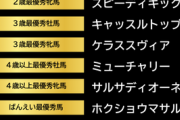 地方年度代表馬はミューチャリーに決定！カジノフォンテンはﾀﾞｰﾄG特別賞、マルシュロレーヌ特別表彰