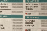 X民「ツイッターの富裕層が異常なだけで世の中の家計ってこんな感じなんかな」→実際のところみんなどうなの？