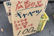 【悲報】キャベツさん、ガチで豊作すぎて3個100円