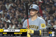 佐藤輝明(26).295 12本 34打点 ops.950←こいつがメジャーで残しそうな成績