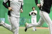 阪神・矢野監督の勝負手“チェン外し”　開幕ローテにドラ2・伊藤将抜てき　先発未勝利のガンケルも