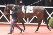 もしかして今年の3歳ダート馬弱くね？