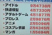【画像】「オタク」一人当たりの年間平均消費金額ｗｗｗｗｗｗｗｗｗｗｗｗｗｗ